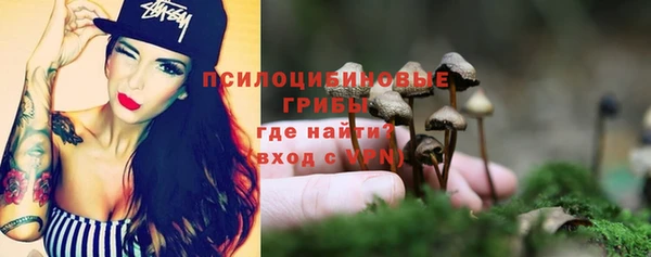 apvp Балахна