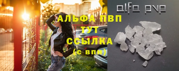 шишки Покачи