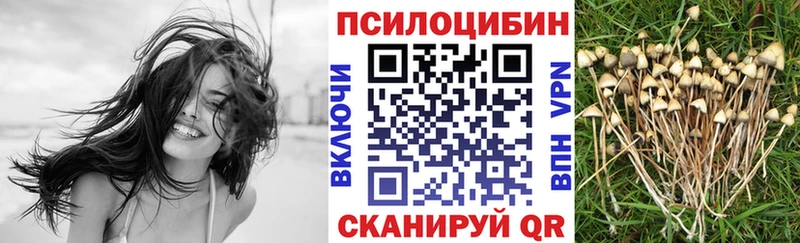Галлюциногенные грибы MAGIC MUSHROOMS  Кушва 
