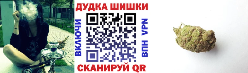 Конопля гибрид  Кушва 